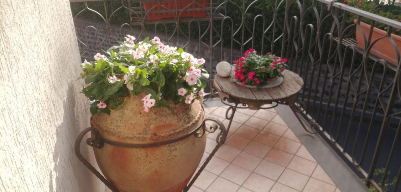 B&B La Giara Nicolosi Bagian luar foto